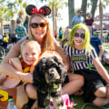 Bringing Your Furry Friend to Kids Fairs: Tips from a Pet Expert